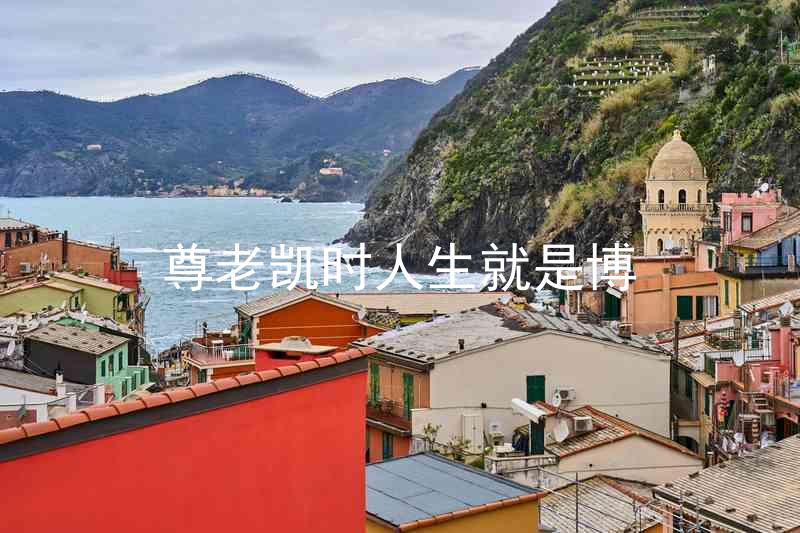 尊老凯时人生就是博