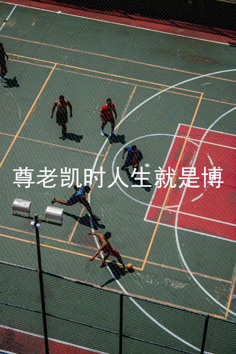 尊老凯时人生就是博