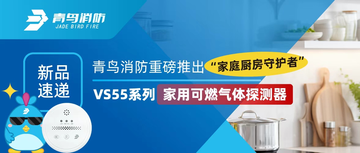 Ʒٵ | ʱذƳ“ͥػ”——VS55ϵмÿȼ̽